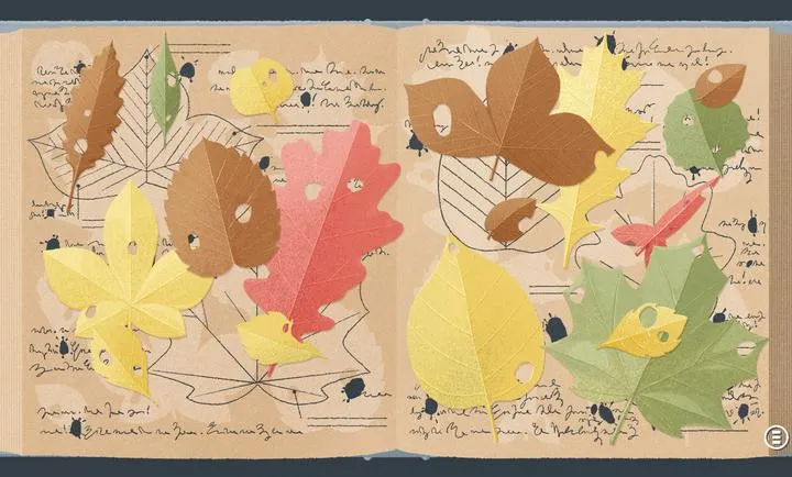 ����һ�㣺������2026���°汾v3.5.81 �ٷ���