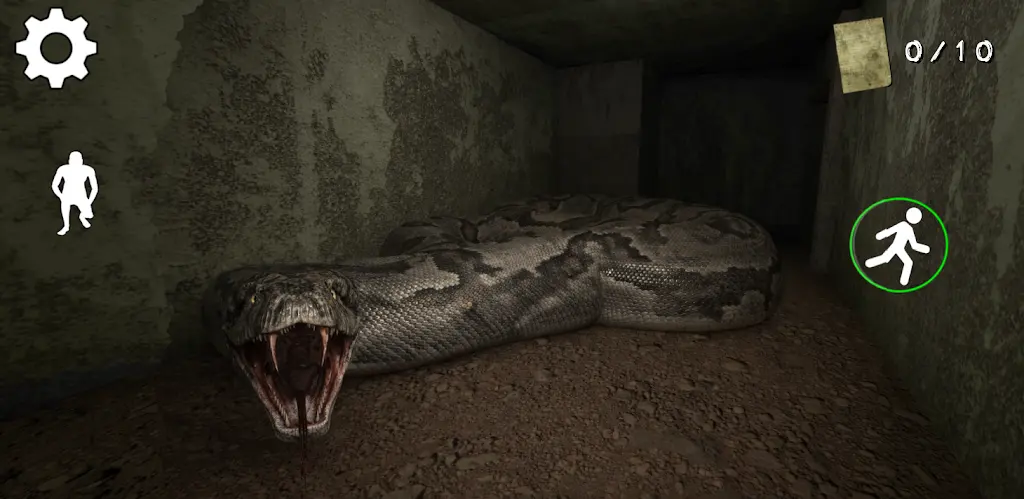 �ֲ������ڹ���ٷ����°汾v1.1 ���°�