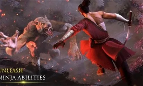 ������ʿ¡���޽��������ʯ��3.7.2�汾v3.8.4 ���°�