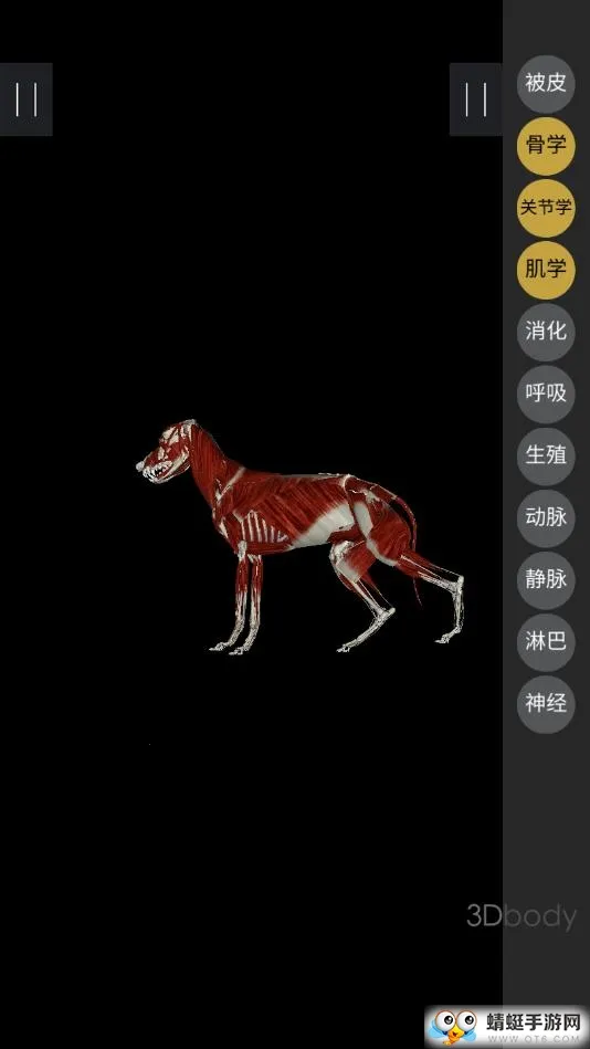 3dbody�����ƽ��v8.8.72 �ٷ���