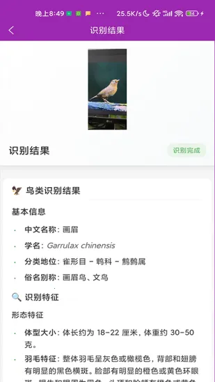 ʶ��(����ʶ�𹤾�)v1.1.0 ��׿��