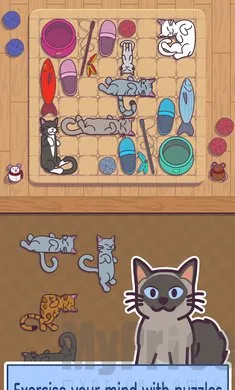 ���׶�2026���°汾