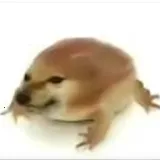 �ҵĵ������ư�ٷ����°汾v1.0 ��׿��