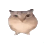 �ͰͲ�һ�����ֻ���v1.0 ��Ѱ�