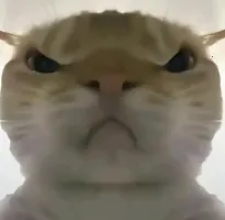 �������ж����󹤾�2026����v1.0 �ֻ���