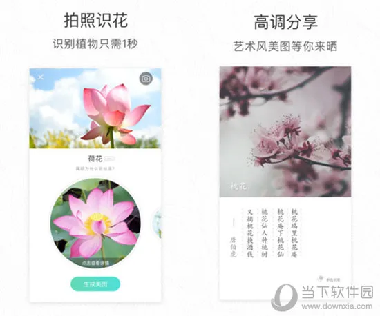 形色(植物识花软件) 形色(植物识花软件)