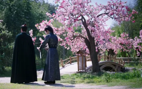 小熊影视(免费追剧软件) 小熊影视(免费追剧软件)