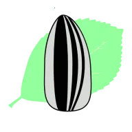 ����Ӱ��(Ӱ�Ӳ�������)v1.0.0 ���°�