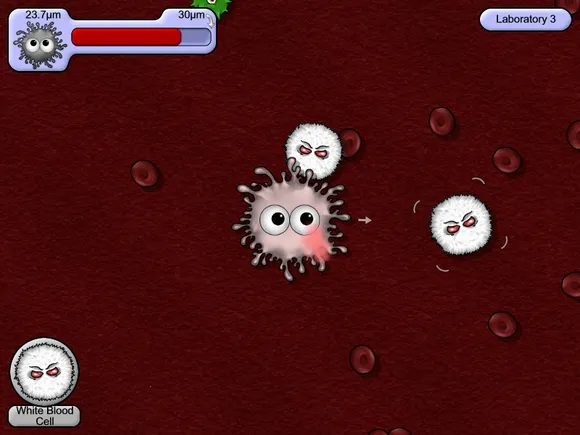 ��ζ����5�ƽ��