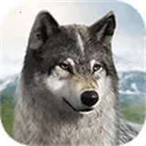 ��������(����Ľ�ɫ��������)v1.0.25 ��Ѱ�