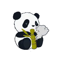 С��è������2026���°汾v64.0-��Ϸ�汾1.24.31.001 ��Ѱ�