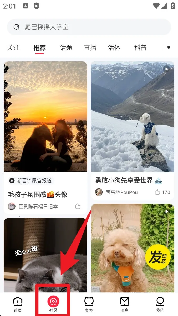 ������(�������ƽ̨)