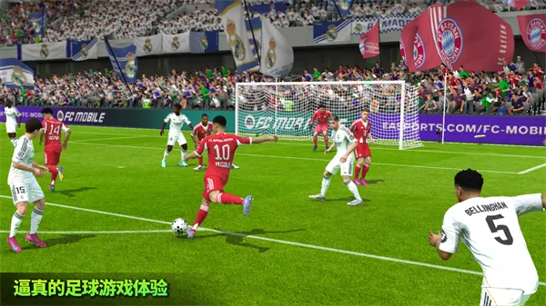 FIFA 22��׿���ֻ���v3.2.113645 �ٷ���