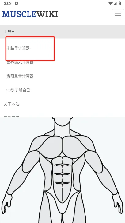 Muscle Wiki2026����v3.0.9 ���°�