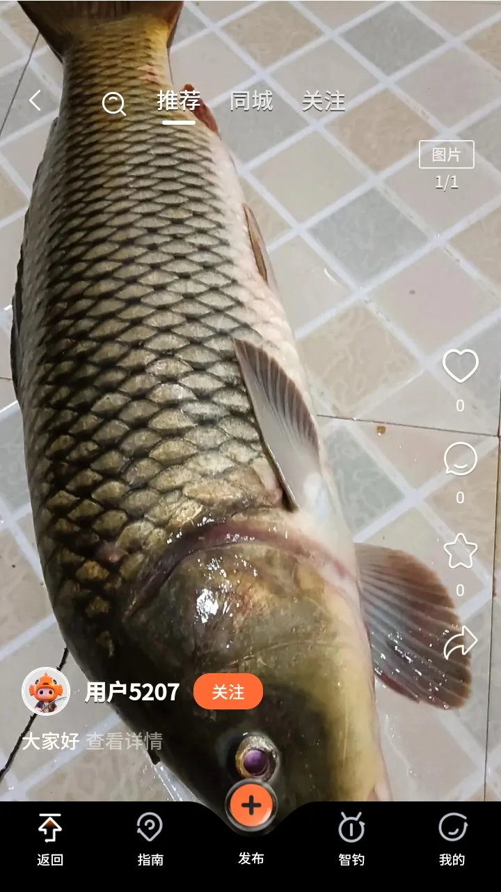 С������������ٷ����°汾v1.0.11 �ٷ���