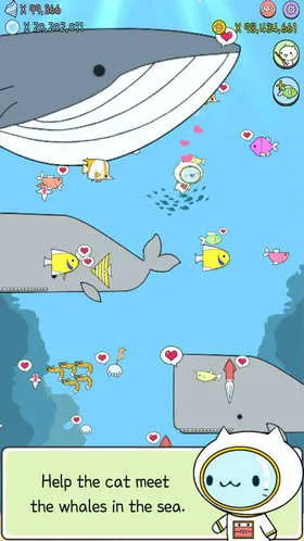 ˮ��è���İ������ֻ���v1.0.1 ��Ѱ�