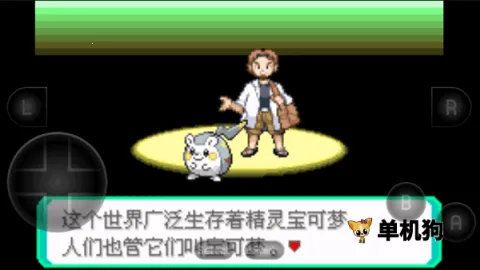 �����ξ����̱�ʯ2026����