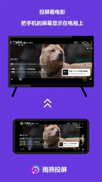 ����Ͷ�����Ӱ�(Ͷ����������ȫ)v6.2.5.13 �ٷ���