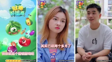 ���������(��������С��Ϸ)