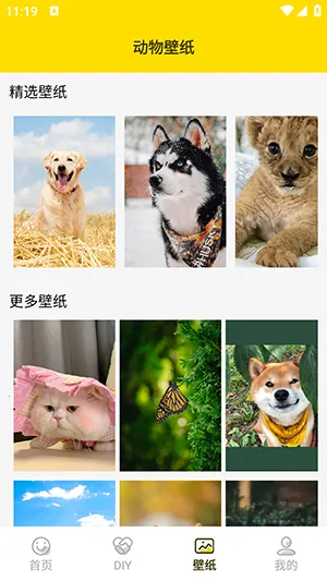 ���ӱ����2026����