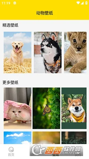 ���ӱ����2026����v1.5 ���°�