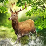 ���Գ�ͻ�ƽ��v5.21.1 ��׿��