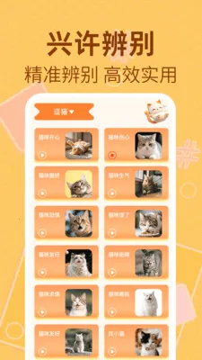 è�����﷭���������ֻ���v1.0.2 ��׿��