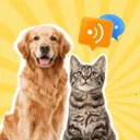 è�����﷭���������ֻ���v1.0.2 ��׿��