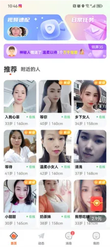 ����(�罻��������)