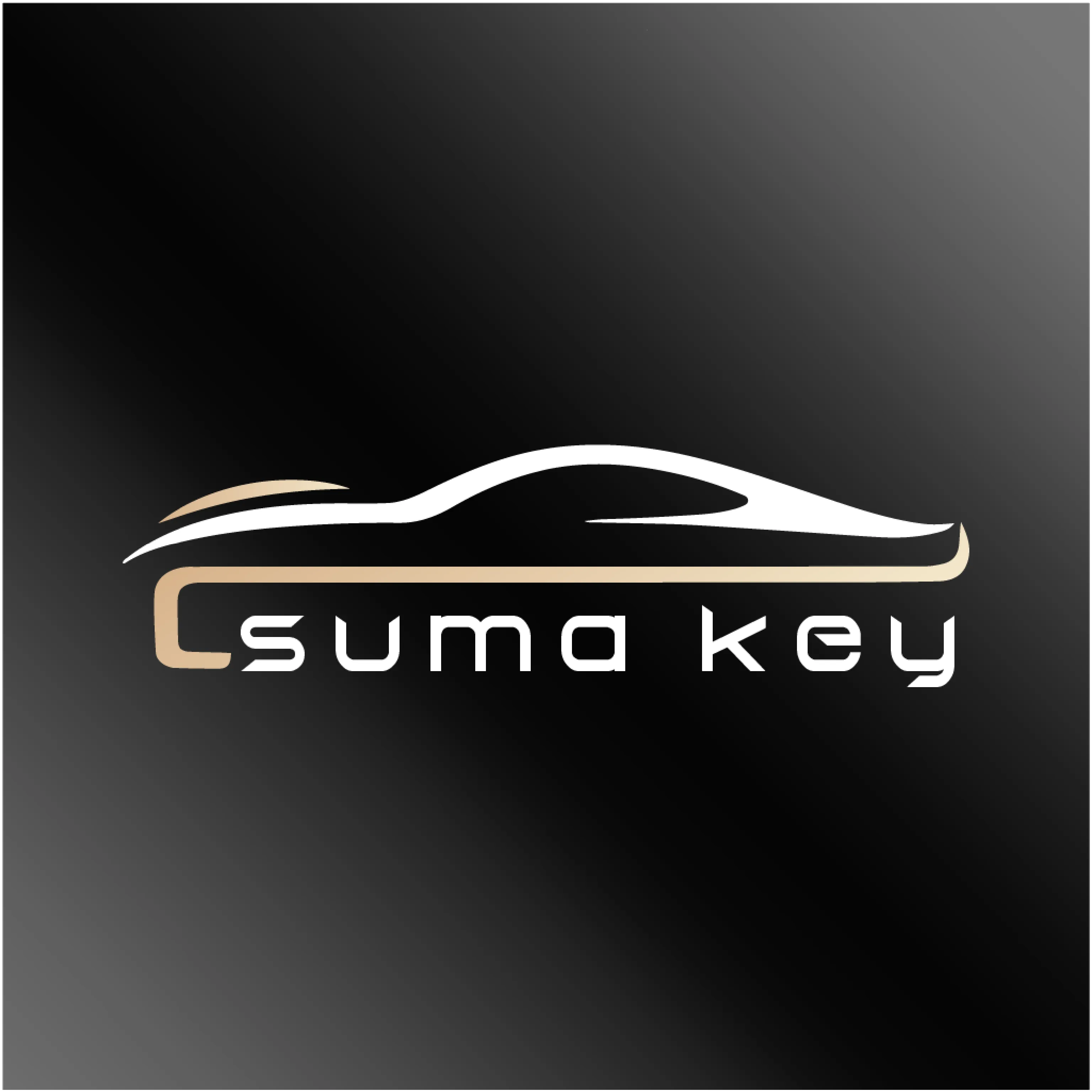 ������(�ֻ��س�����)v26.04.08.01 ��Ѱ�