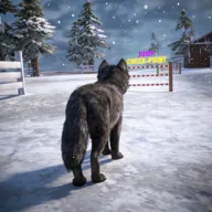 ��ģ���� 3D(��ģ����Ϸ)v1.0.6 ���°�