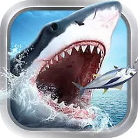 ���������2026����v99.1 ��Ѱ�