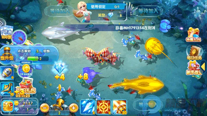 ���������2026����