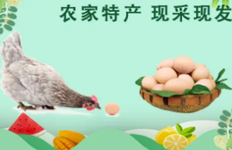 �������(�������ƽ̨)