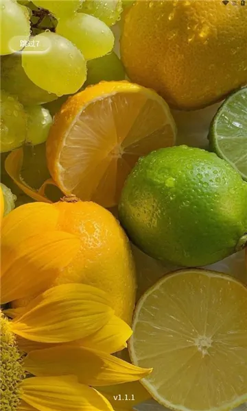 �����ջݰ�׿���ֻ���v1.1.6 ��׿��