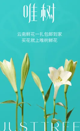 Ψ���ʻ���׿���ֻ���