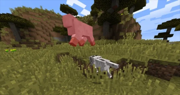 CAT�Ƽ�(�ҵ����縨��)v1.0 �ֻ���