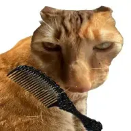 ��è��ë2026���ذ�װv1.0 ��׿��