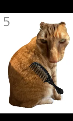 ��è��ë2026���ذ�װv1.0 ��׿��