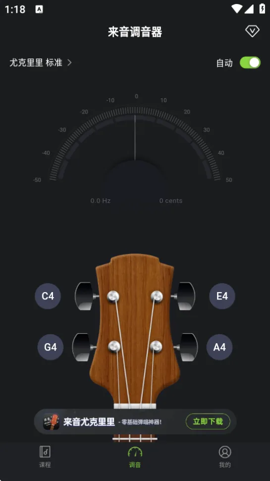 ����������(������������)