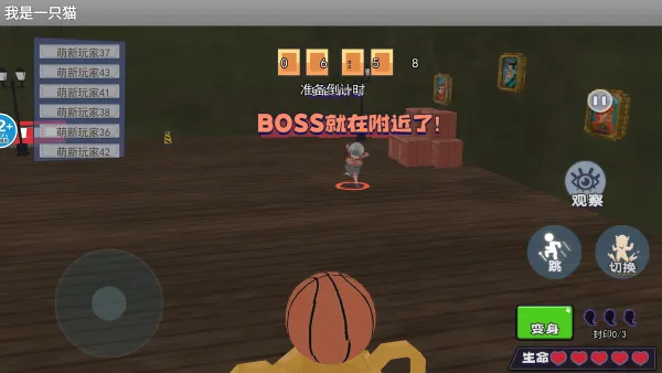 ����һֻè�����ֻ���