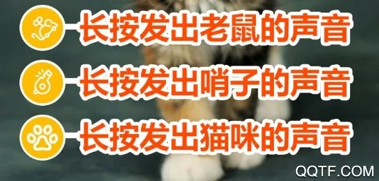 è����������ֻ���