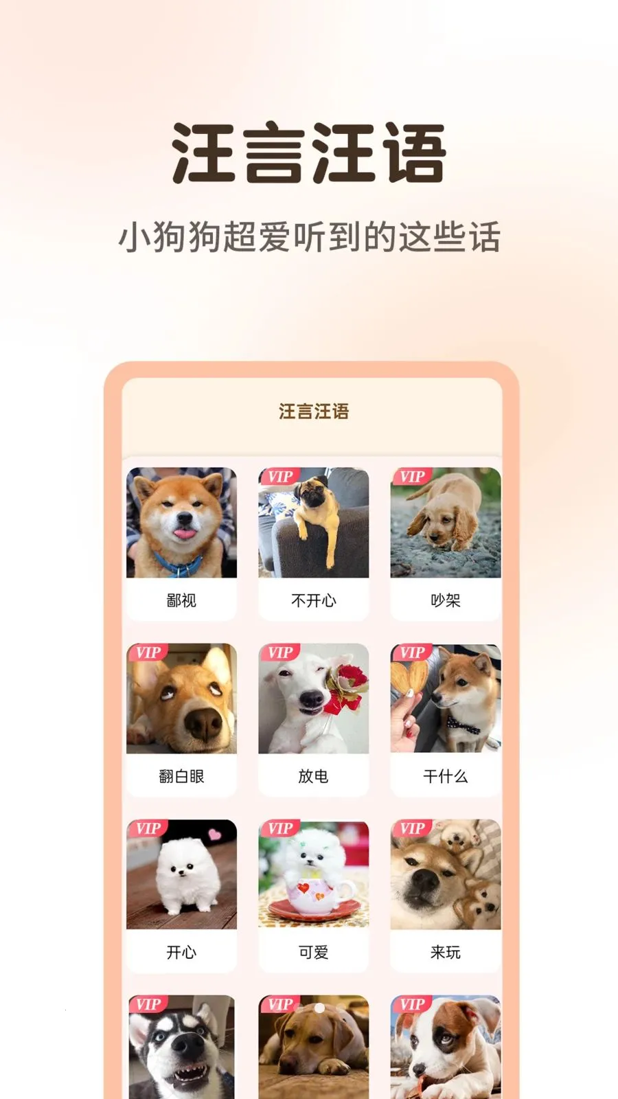 ����è�����﷭����2026����v1.0.3 ��׿��