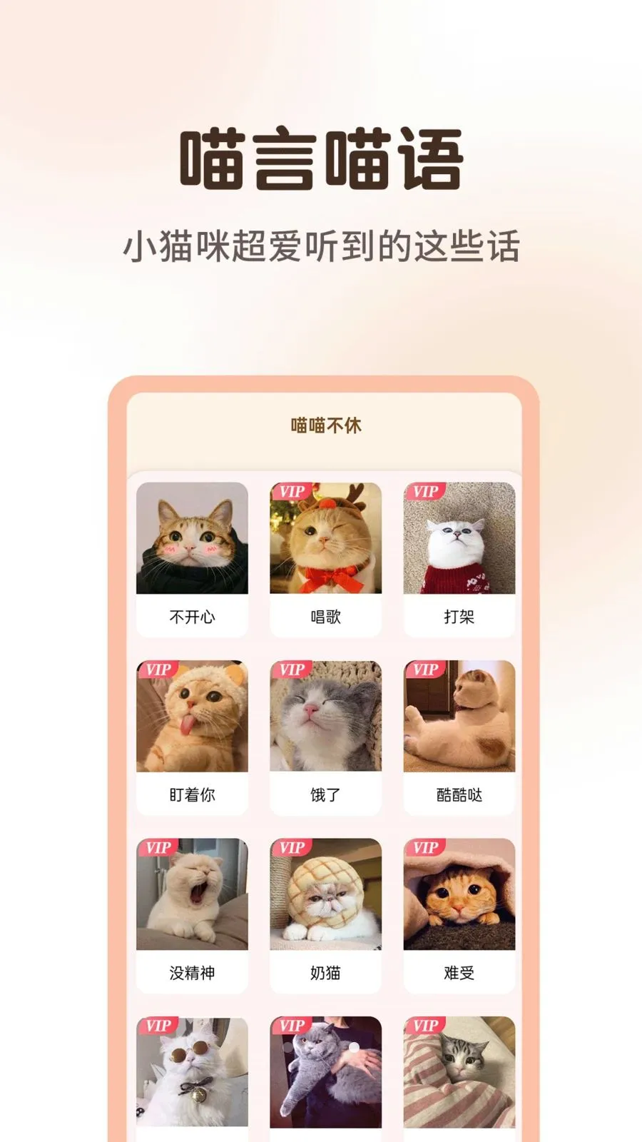 ����è�����﷭����2026����v1.0.3 ��׿��