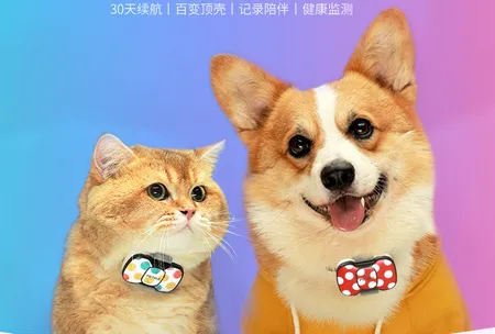 ��˳��ﰲ׿���ֻ���