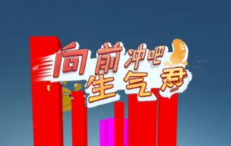 ���ܰ�������(������������)