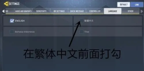 codm国际服