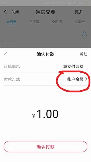��֧��(����֧��ƽ̨)