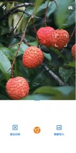 �þ���(Ӱ����Ѳ�������)