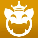 ���ƴ�ʦ(è�俨��ð����Ϸ)v1.0.5 �ٷ���